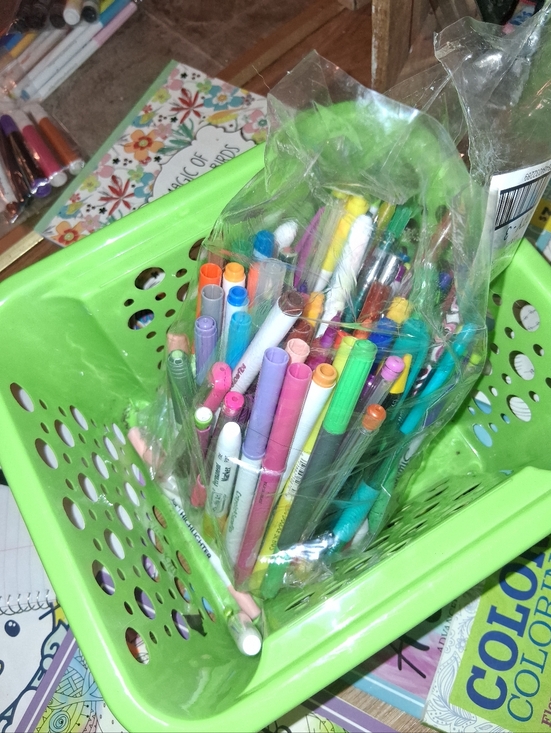 Crayola Other - Hey , over sixty piece scrapbook and adult coloring lot
